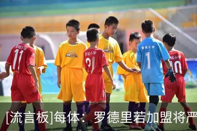 [流言板]每体：罗德里若加盟将严重挤压德容空间，他在巴萨未来成疑